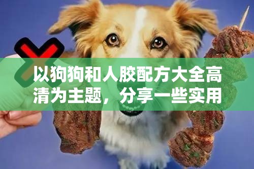 以狗狗和人胶配方大全高清为主题，分享一些实用的制作技巧和注意事项