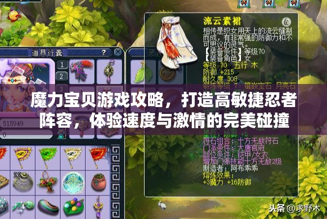 魔力宝贝游戏攻略，打造高敏捷忍者阵容，体验速度与激情的完美碰撞