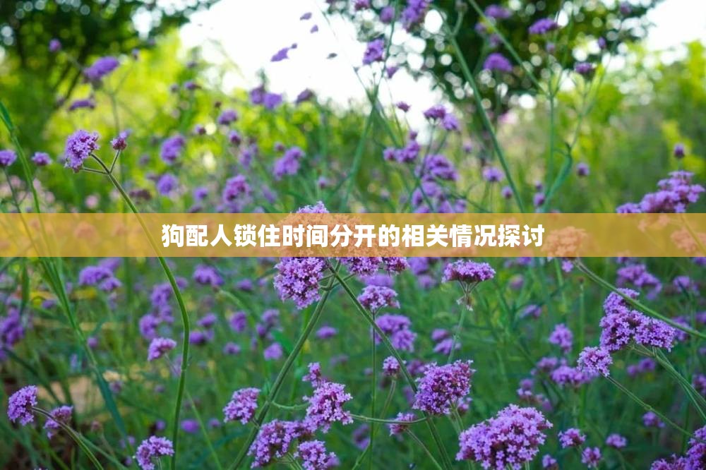 狗配人锁住时间分开的相关情况探讨