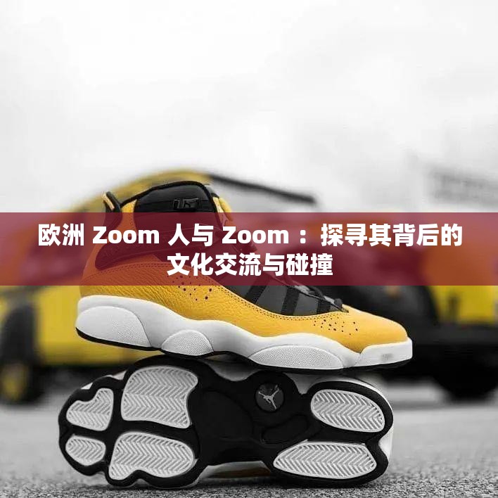 欧洲 Zoom 人与 Zoom ：探寻其背后的文化交流与碰撞