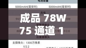 成品 78W75 通道 1 是什么产品-深入探究其本质与特点