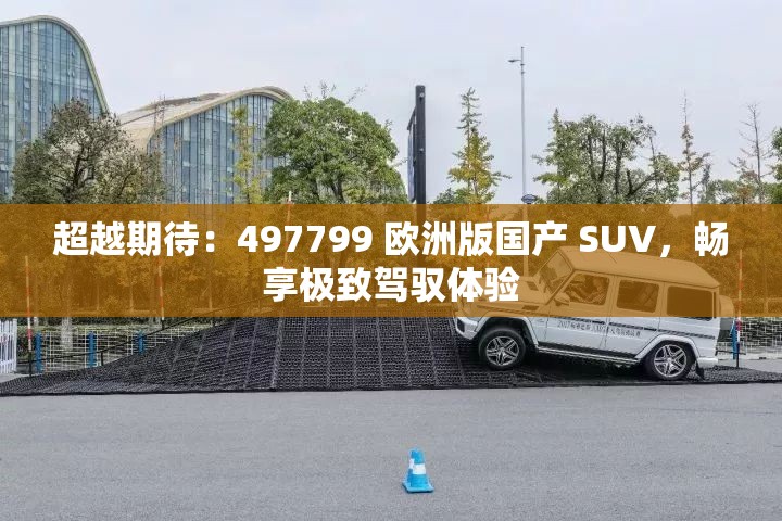 超越期待：497799 欧洲版国产 SUV，畅享极致驾驭体验