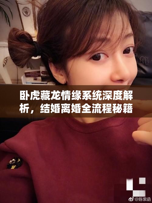 卧虎藏龙情缘系统深度解析，结婚离婚全流程秘籍与攻略大放送