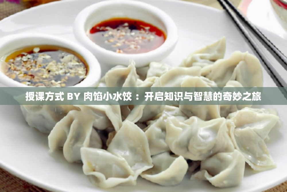 授课方式 BY 肉馅小水饺 ：开启知识与智慧的奇妙之旅