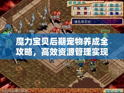 魔力宝贝后期宠物养成全攻略，高效资源管理实现宠物价值最大化