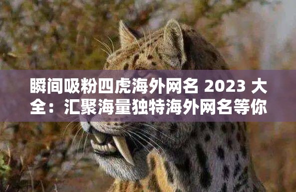 瞬间吸粉四虎海外网名 2023 大全：汇聚海量独特海外网名等你来选