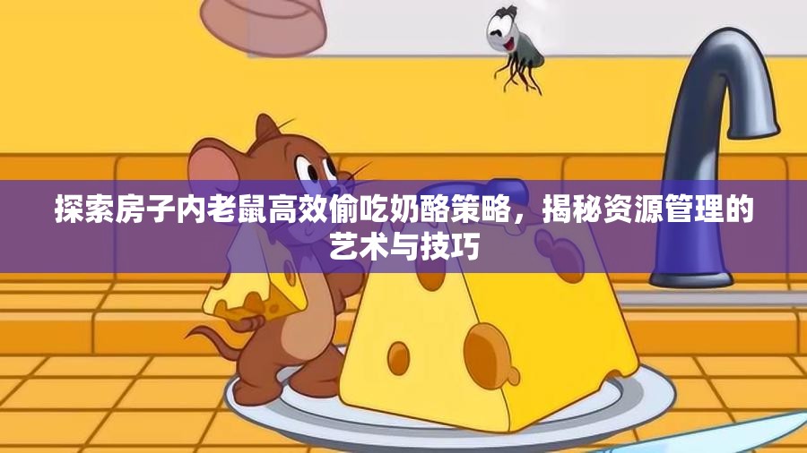 探索房子内老鼠高效偷吃奶酪策略，揭秘资源管理的艺术与技巧