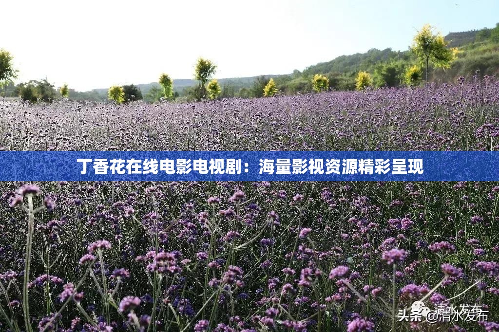 丁香花在线电影电视剧：海量影视资源精彩呈现