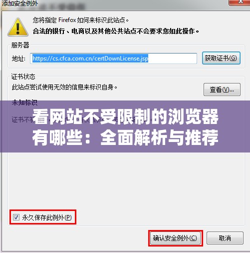 看网站不受限制的浏览器有哪些：全面解析与推荐