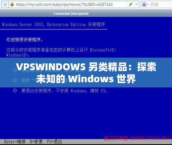 VPSWINDOWS 另类精品：探索未知的 Windows 世界
