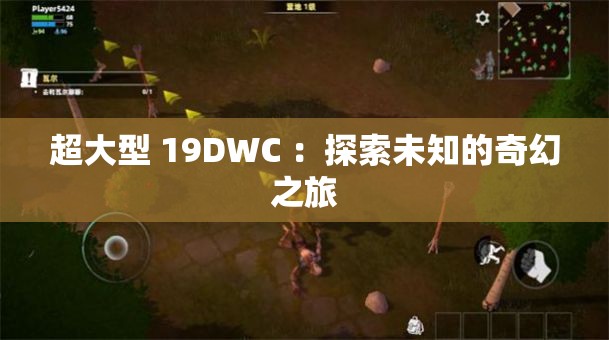 超大型 19DWC ：探索未知的奇幻之旅