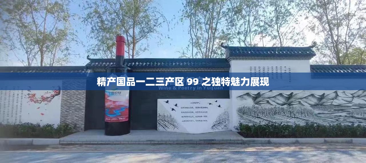 精产国品一二三产区 99 之独特魅力展现