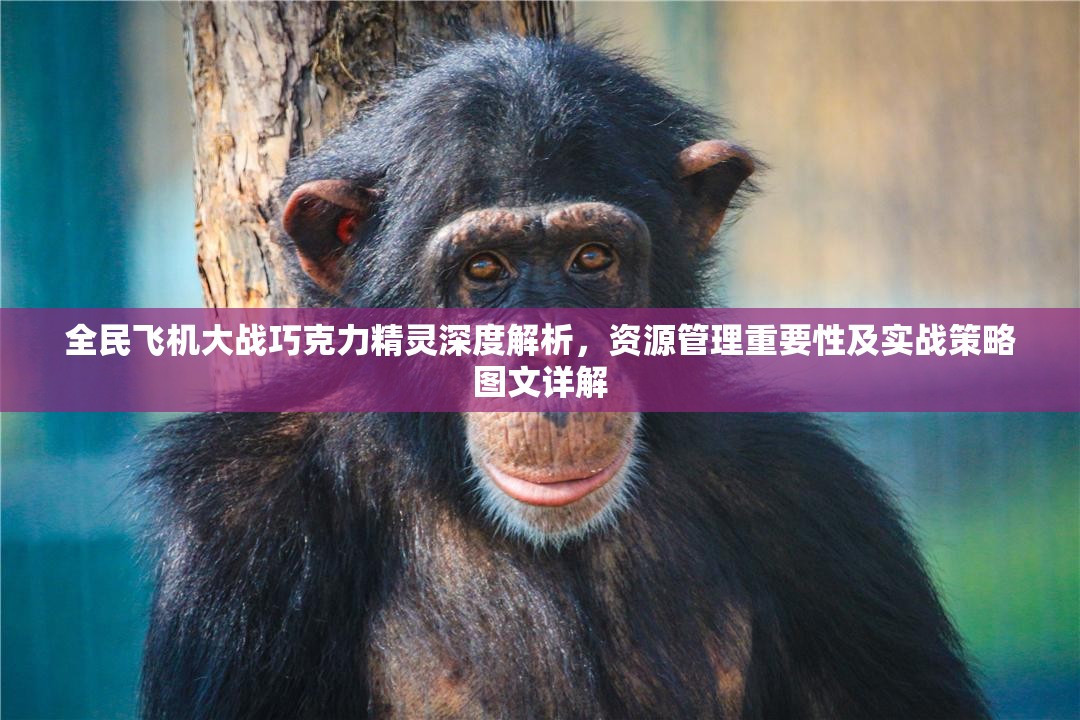 全民飞机大战巧克力精灵深度解析，资源管理重要性及实战策略图文详解