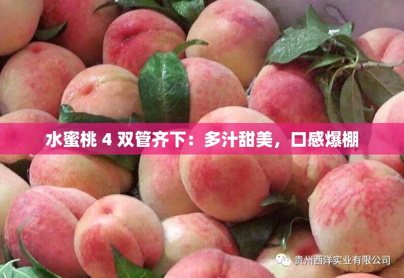 水蜜桃 4 双管齐下：多汁甜美，口感爆棚