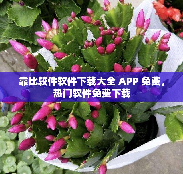 靠比较件软件下载大全 APP 免费，热门软件免费下载