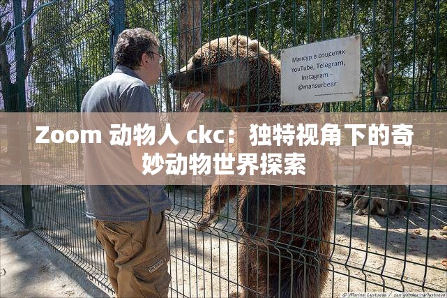 Zoom 动物人 ckc：独特视角下的奇妙动物世界探索