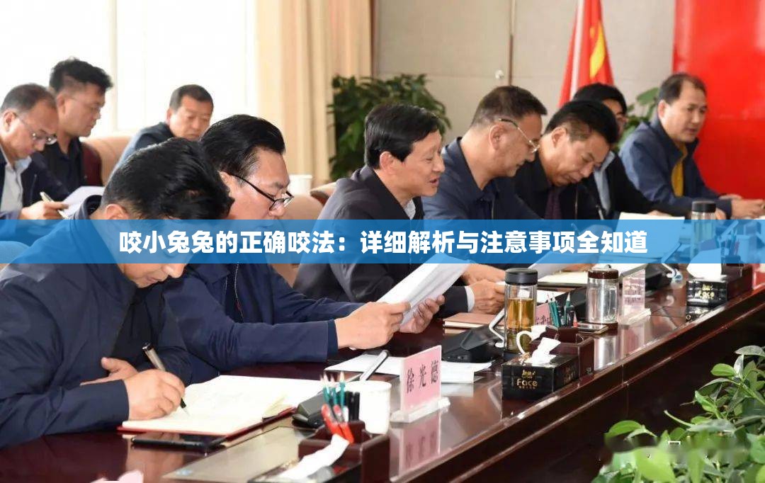 咬小兔兔的正确咬法：详细解析与注意事项全知道