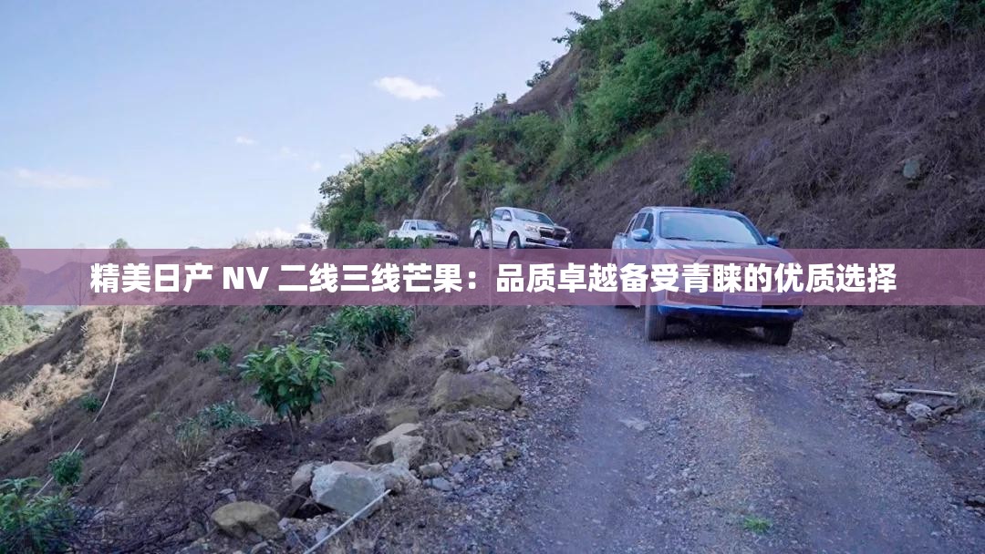 精美日产 NV 二线三线芒果：品质卓越备受青睐的优质选择