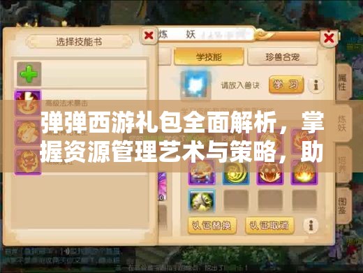 弹弹西游礼包全面解析，掌握资源管理艺术与策略，助力游戏进阶