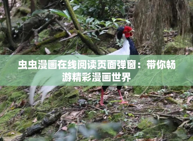 虫虫漫画在线阅读页面弹窗：带你畅游精彩漫画世界