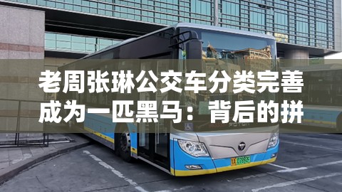 老周张琳公交车分类完善成为一匹黑马：背后的拼搏与突破