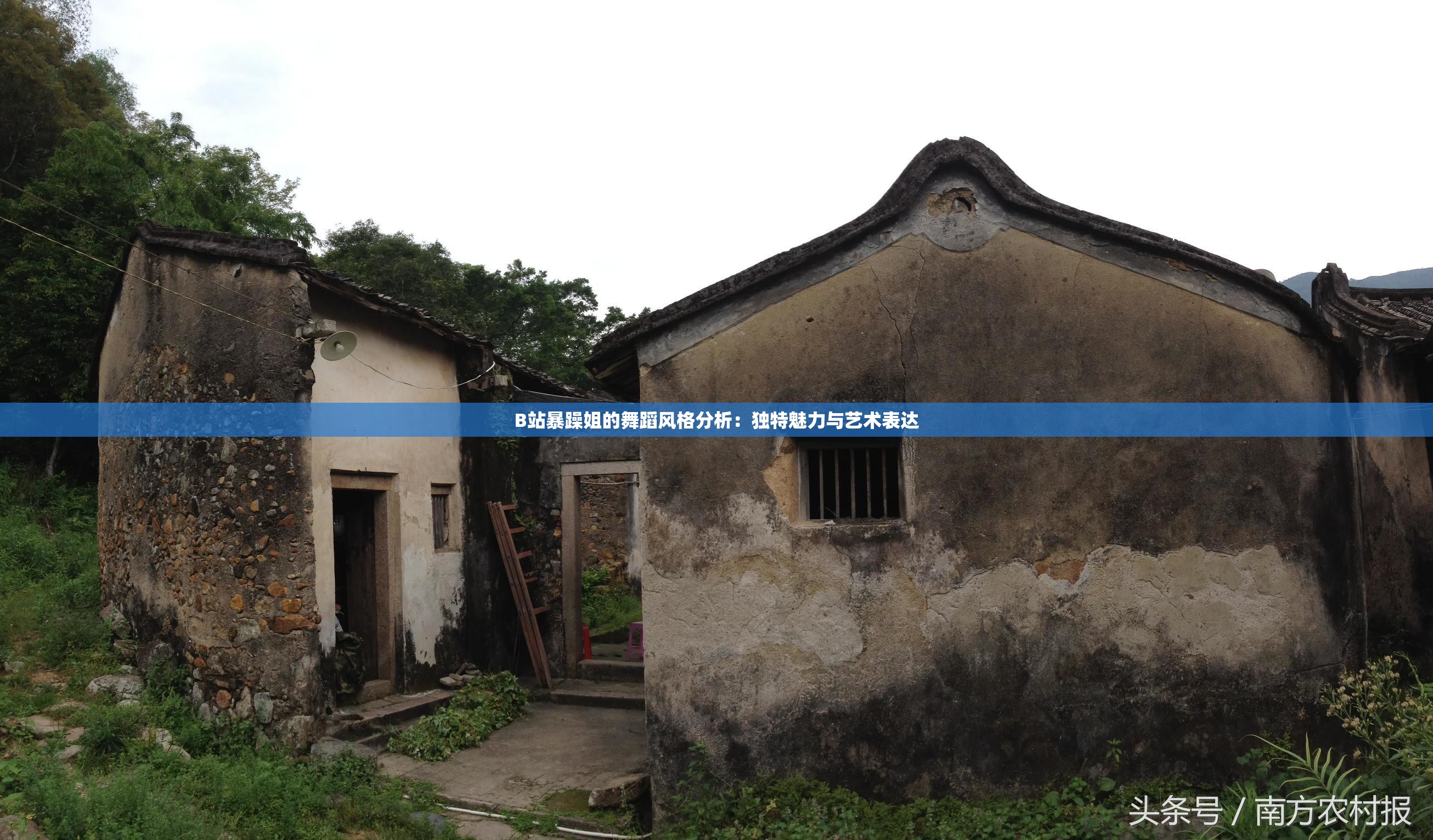 B站暴躁姐的舞蹈风格分析：独特魅力与艺术表达
