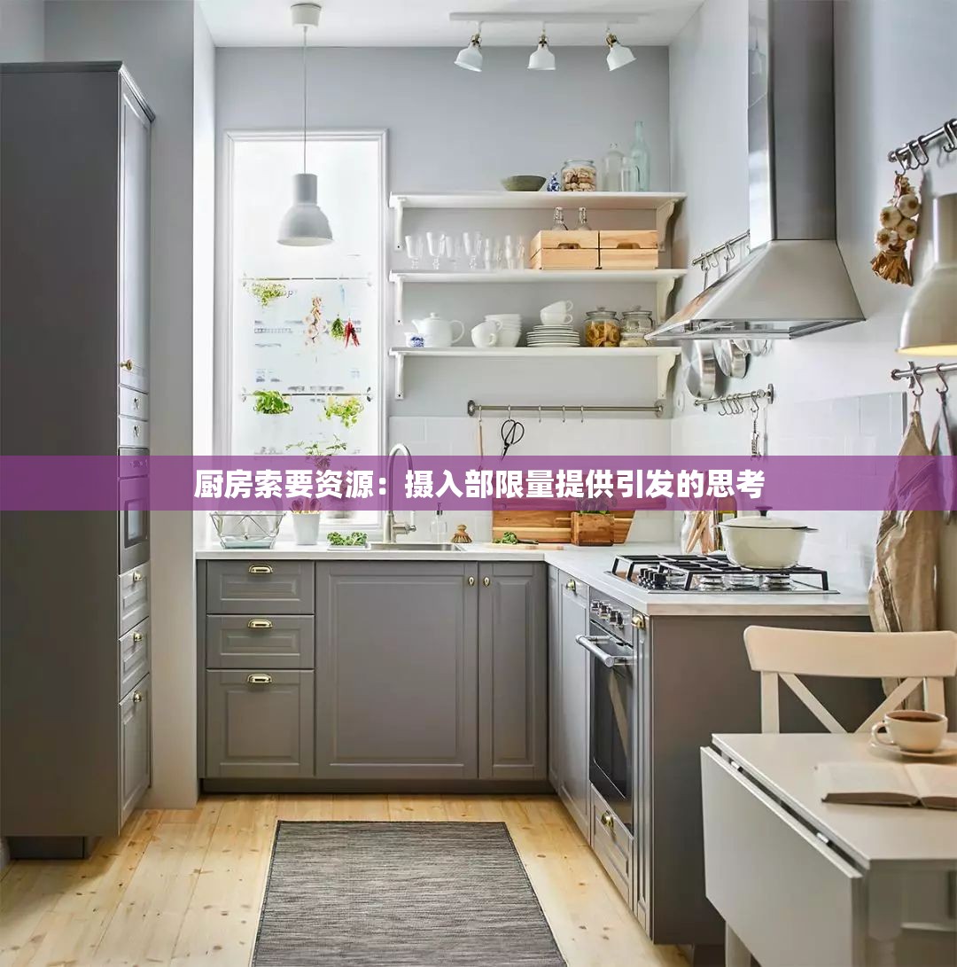 厨房索要资源：摄入部限量提供引发的思考