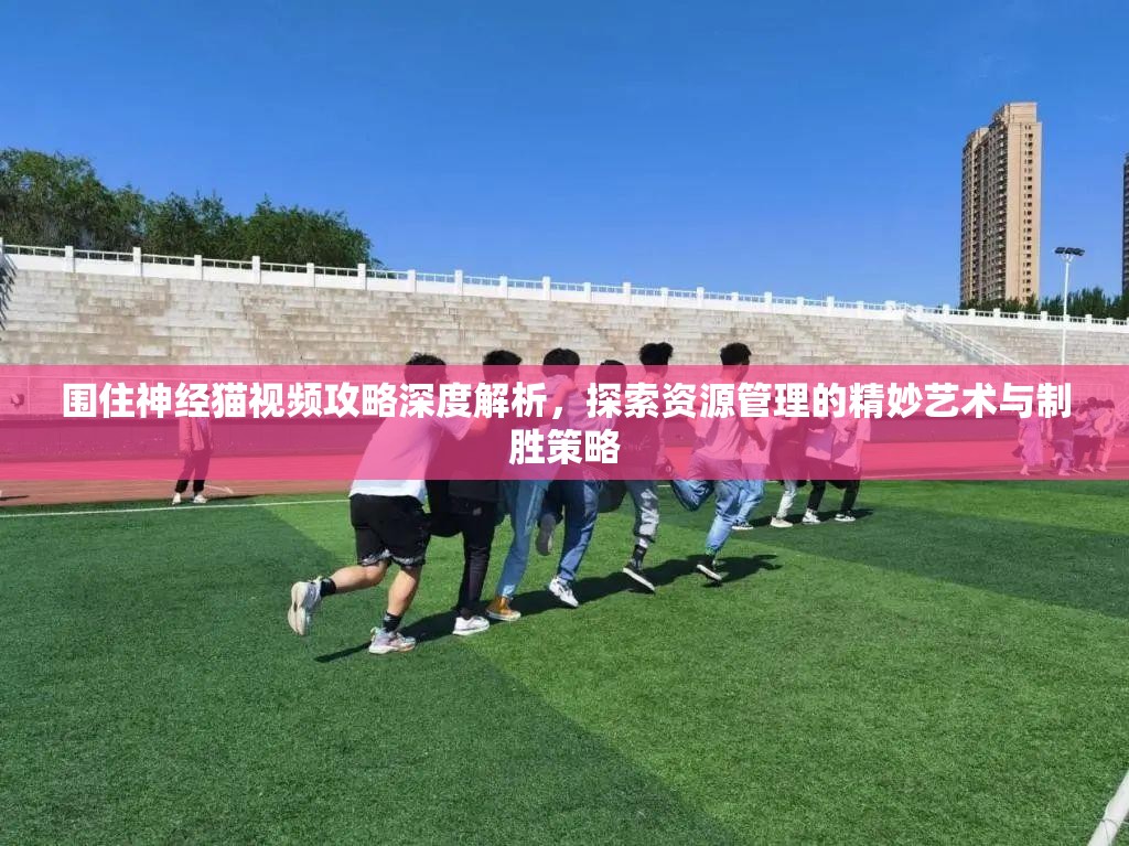 围住神经猫视频攻略深度解析，探索资源管理的精妙艺术与制胜策略