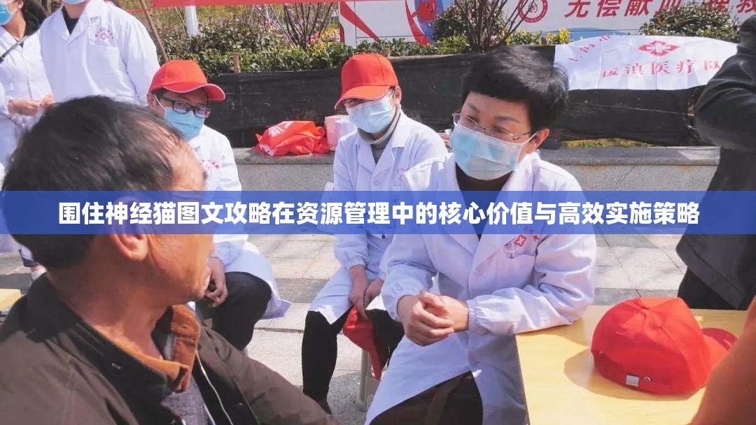 围住神经猫图文攻略在资源管理中的核心价值与高效实施策略