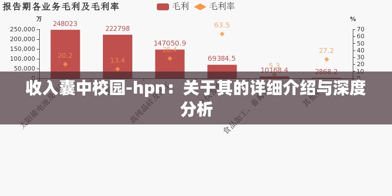 收入囊中校园-hpn：关于其的详细介绍与深度分析