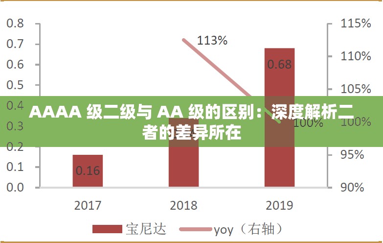 AAAA 级二级与 AA 级的区别：深度解析二者的差异所在