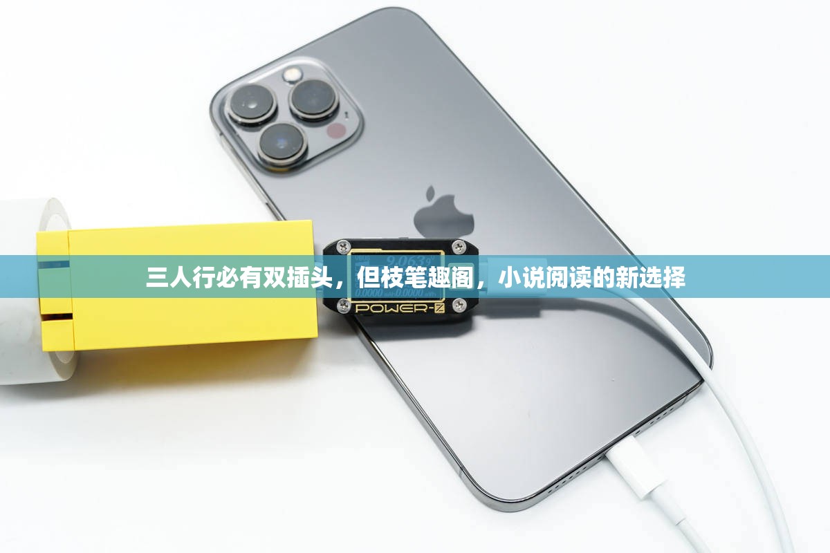 三人行必有双插头，但枝笔趣阁，小说阅读的新选择