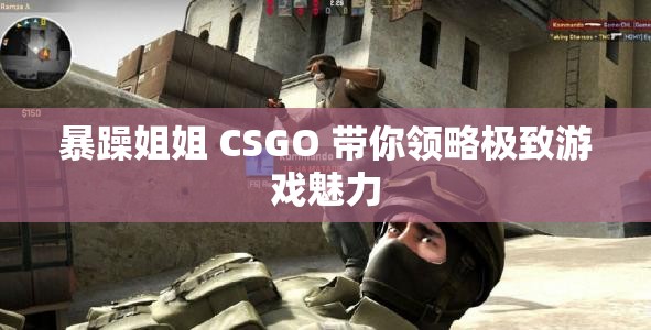 暴躁姐姐 CSGO 带你领略极致游戏魅力