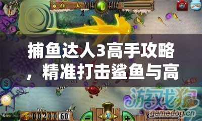 捕鱼达人3高手攻略，精准打击鲨鱼与高效资源管理的艺术