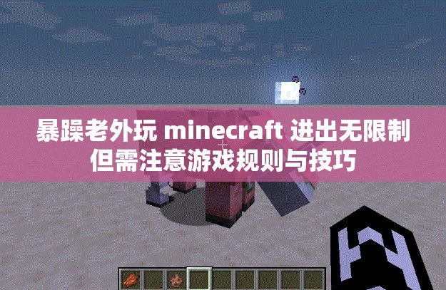 暴躁老外玩 minecraft 进出无限制但需注意游戏规则与技巧