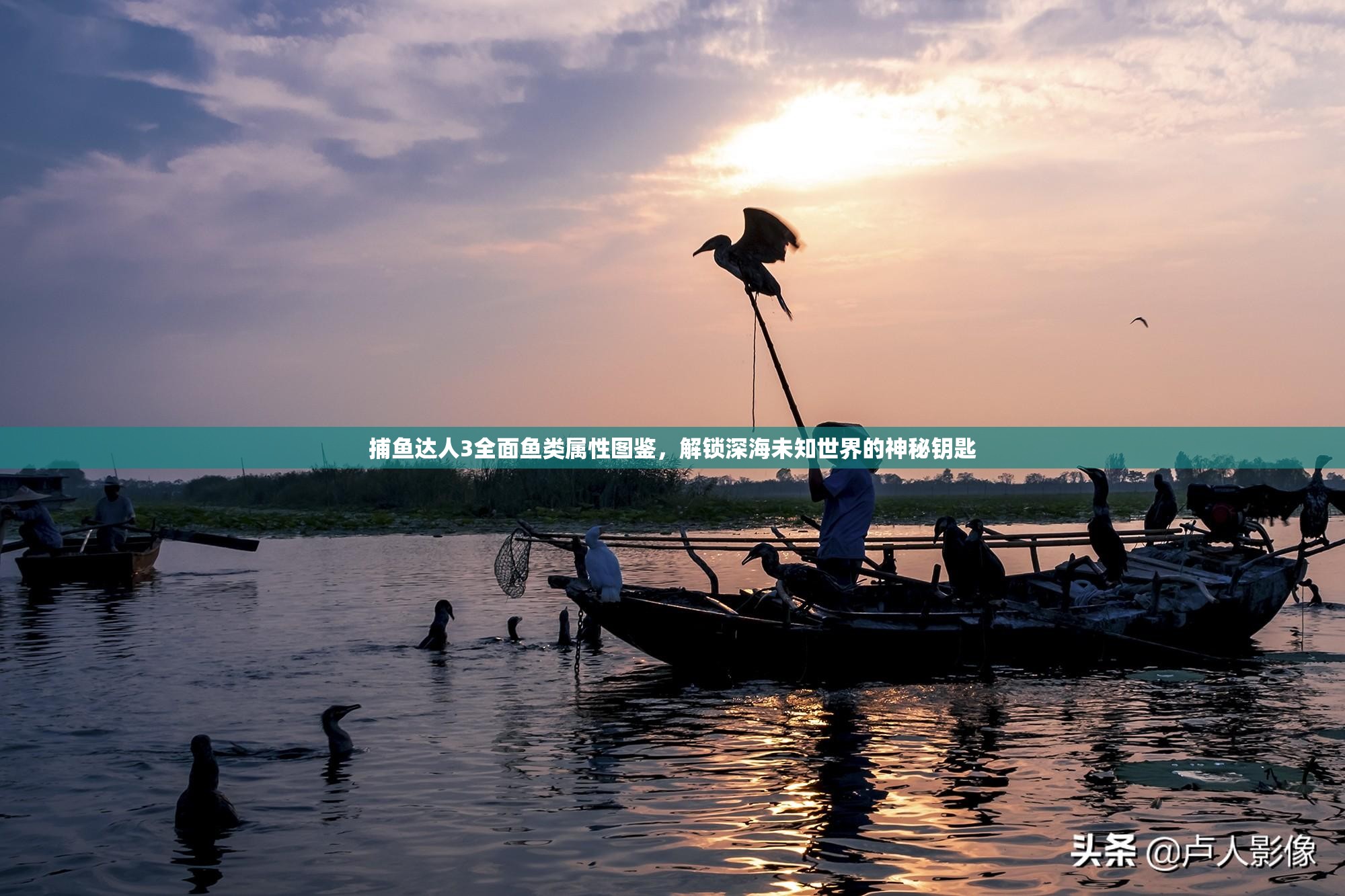 捕鱼达人3全面鱼类属性图鉴，解锁深海未知世界的神秘钥匙