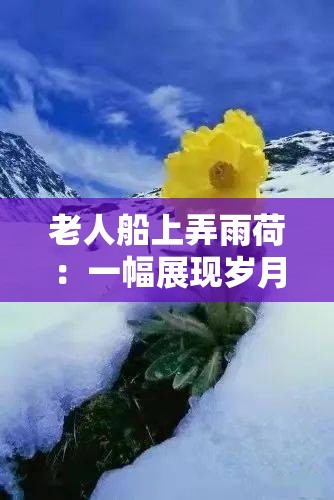 老人船上弄雨荷：一幅展现岁月静好的唯美画卷