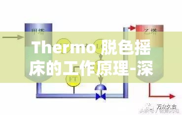 Thermo 脱色摇床的工作原理-深度解析与运行机制探讨