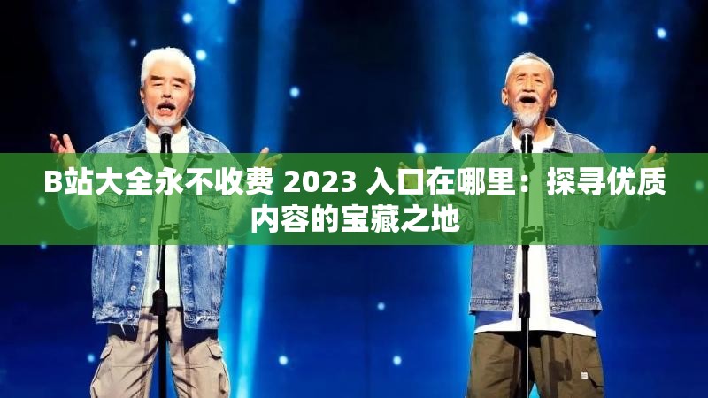 B站大全永不收费 2023 入口在哪里：探寻优质内容的宝藏之地