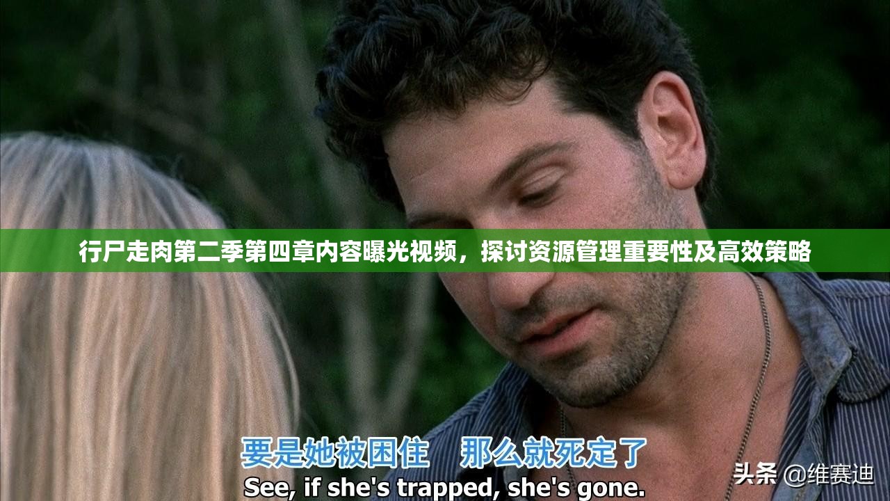 行尸走肉第二季第四章内容曝光视频，探讨资源管理重要性及高效策略