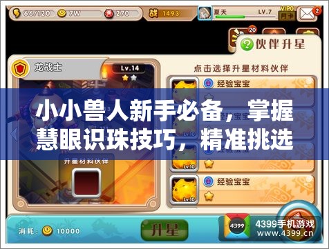 小小兽人新手必备，掌握慧眼识珠技巧，精准挑选最佳战斗小伙伴攻略