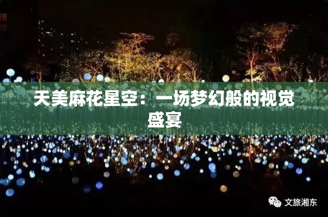 天美麻花星空：一场梦幻般的视觉盛宴