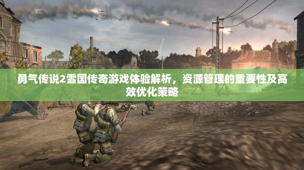 勇气传说2雪国传奇游戏体验解析，资源管理的重要性及高效优化策略