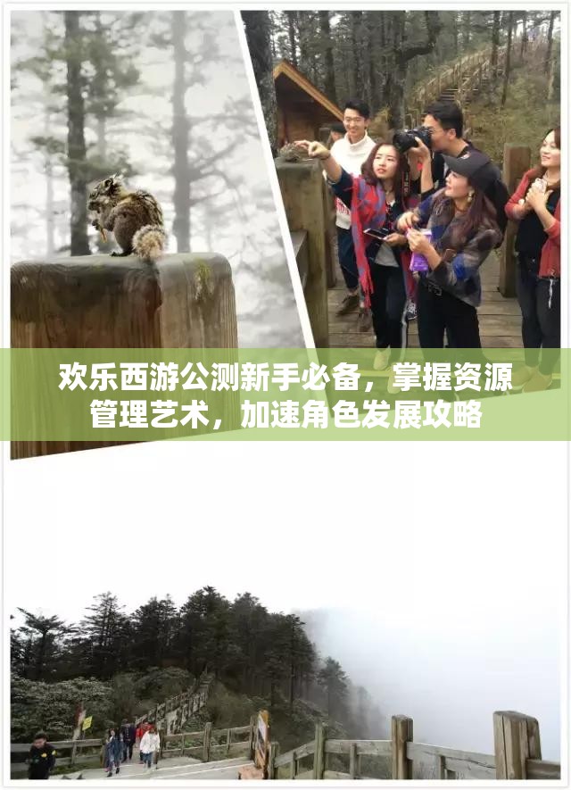 欢乐西游公测新手必备，掌握资源管理艺术，加速角色发展攻略