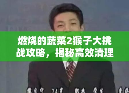 燃烧的蔬菜2猴子大挑战攻略，揭秘高效清理关卡策略与技巧