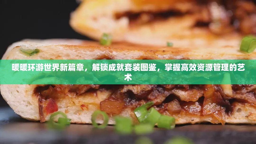 暖暖环游世界新篇章，解锁成就套装图鉴，掌握高效资源管理的艺术