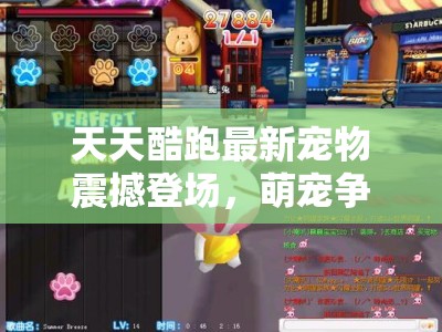 天天酷跑最新宠物震撼登场，萌宠争霸赛开启，究竟谁能主宰赛场沉浮？