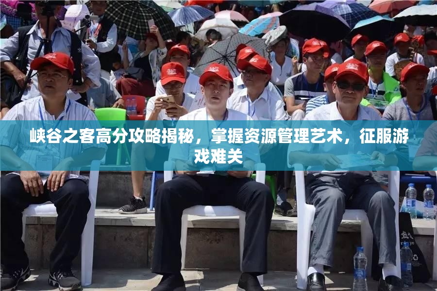 峡谷之客高分攻略揭秘，掌握资源管理艺术，征服游戏难关