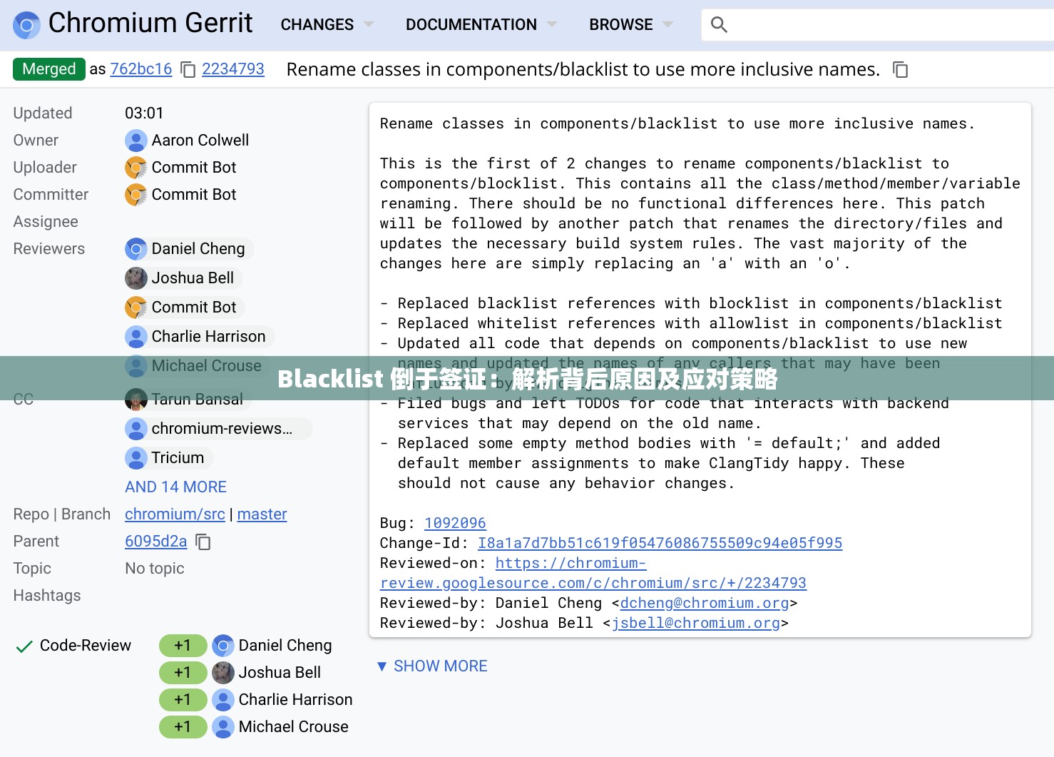 Blacklist 倒于签证：解析背后原因及应对策略