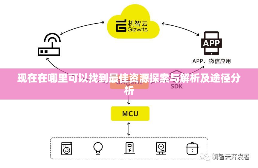 现在在哪里可以找到最佳资源探索与解析及途径分析